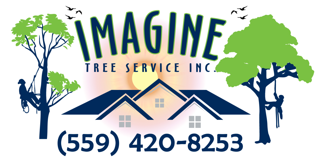Imagine Tree Service